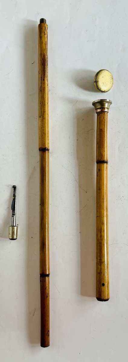Canne fusil sarbacane 